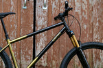 Dark Star - Hardtail Frame Prebook