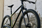 Dark Star - Hardtail Frame Prebook